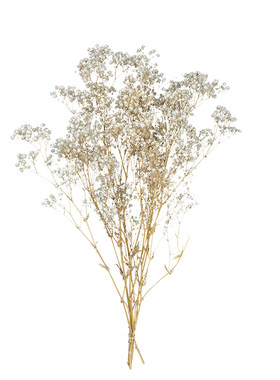 满天星干花永生花超大束节日礼物