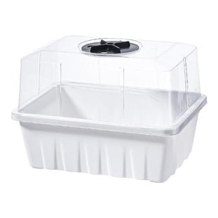 园艺多肉扦插盆育苗播种盒培育整理框晾根生石花种植育苗盘带盖