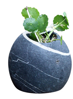 石头花盆创意茶盘装饰铜钱菖蒲