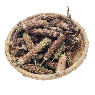 夏枯草花穗夏枯球茶夏姑草白毛夏枯球夏菇草夏谷草下古草凉茶新货