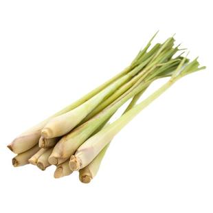 新鲜香茅草 食用柠檬草泰国料理冬阴功汤原料香料奶茶店调料蔬菜