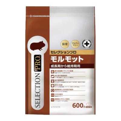 日本银钢豚鼠粮荷兰猪粮葵鼠粮