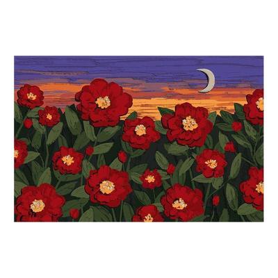 入户门丝圈地垫普尼邦耐脏可裁剪