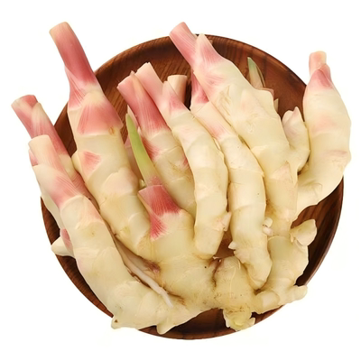 山东红芽嫩姜新鲜仔姜现挖子姜当季嫩姜芽醋泡姜农家自种大姜