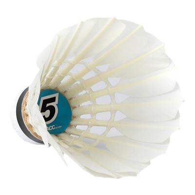 ACC羽毛球510俱乐部推荐