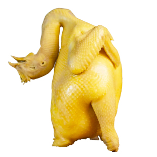 【老广年货】著名广州南沙葵花鸡 火锅食材广东白切鸡半成品熟食