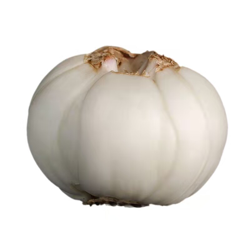 甘肃兰州百合新鲜百合500g包邮纯甜食用天然生百合非特级干货特产