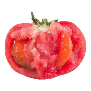 大粉西红柿苗带土秧苗老品种沙瓤番茄苗柿子苗四季盆栽菜种籽菜苗