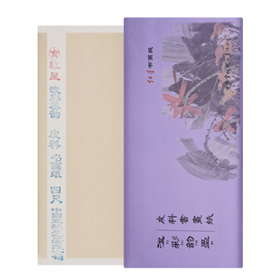 红星书画纸泼彩韵墨皮料书画纸正品安徽红星牌纸半生半熟书法专用纸毛笔字练习纸国画生纸四尺整张作品纸