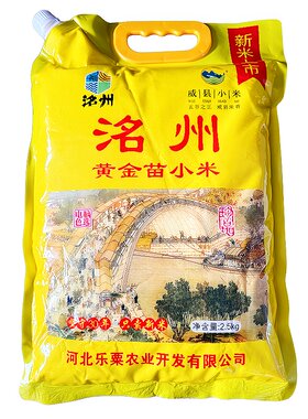 洺州黄金苗小米5斤促销装