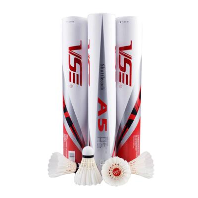 VenSon威臣A5羽毛球俱乐部训练