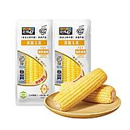 北纬47度新鲜采摘黄糯白糯鲜甜玉米