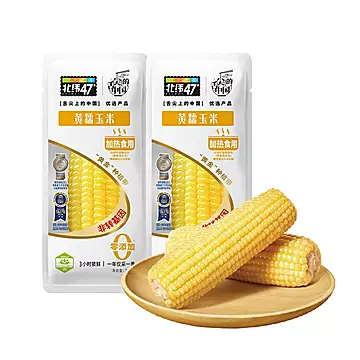 北纬47度新鲜采摘黄糯白糯鲜甜玉米