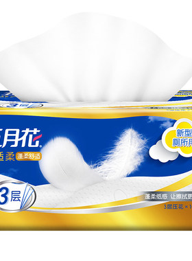 抽取式厕纸3层100抽60包大规格