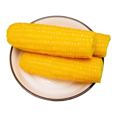 东北黄糯玉米新鲜粘黏苞米真空装