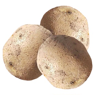 炸薯片薯条专用土豆大西洋土豆批发甘肃新鲜沙土地洋芋沙面马铃薯