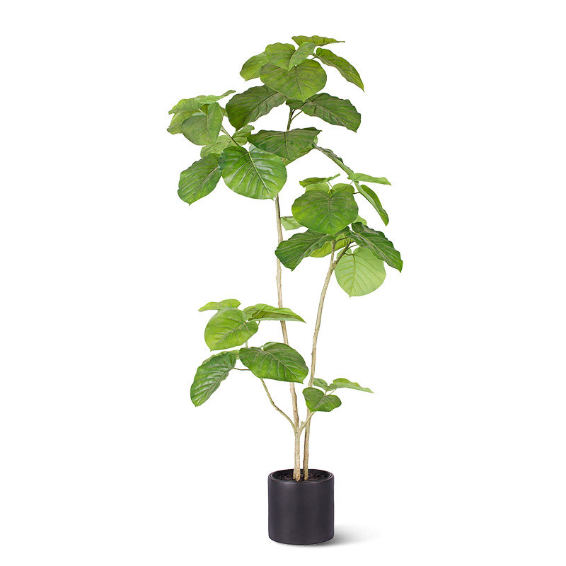 高级感心叶榕仿真绿植橱窗摆件