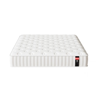 LANCER DREAM席梦思弹簧床垫180x200家用天然椰棕乳胶1.5米20cm厚