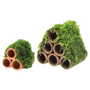 鱼缸莫斯水草造景懒人真植物鱼虾躲避罐小鱼繁殖躲避屋虾屋小摆件