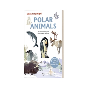 英文原版绘本 Ultimate Spotlight Polar Animals 极致系列 北极动物 精装立体翻翻书 英文版 进口英语原版书籍