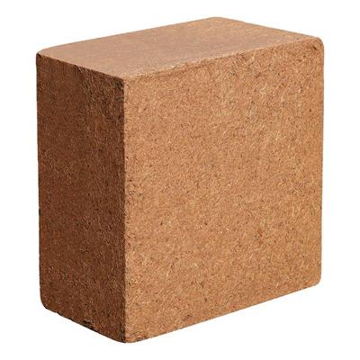 大椰砖泡发多全店已售78W件