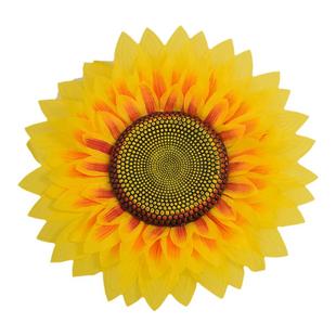 运动会氛围道具入场创意幼儿园向日葵太阳花舞蹈跳舞表演手拿花朵