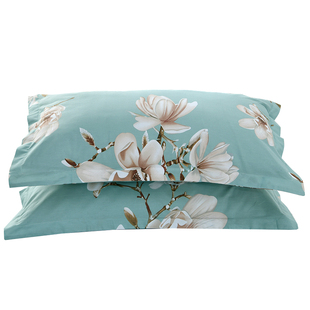 海贝100%纯棉枕头皮斜纹枕套两只装单人成人两只床上用品74x48cm