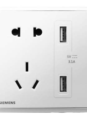 西门子白色10a快充双usb插座