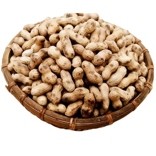 【无干燥剂】新货小珍珠原味蒜香味核桃味带壳炒花生坚果炒货零食