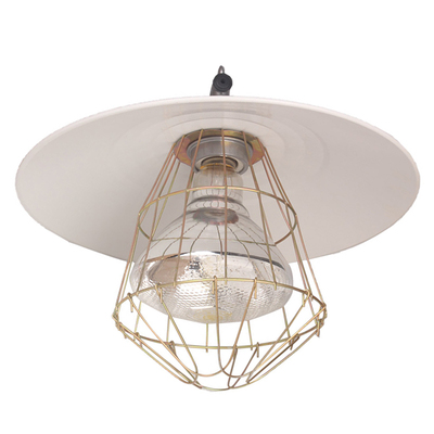 保温灯套装猪博士仔猪保温灯