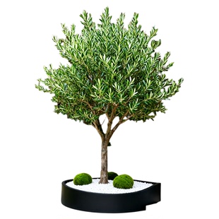 高档仿真橄榄树盆栽北欧风家居客厅办公室橱窗落地假绿植装饰树