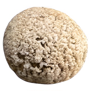 泰国脑舍利球摆件龙宫舍利单颗办公室摆件原矿原色宫廷风饰品礼物