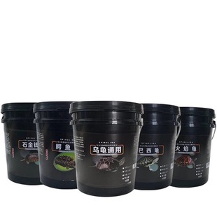 石金钱龟苗南种石金钱龟苗饲料龟粮石龟黄喉石金钱龟种龟龟粮南石