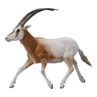 CollectA弯角剑羚动物模型玩具