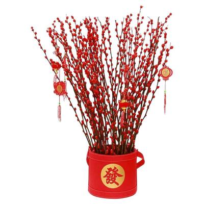 银柳真花鲜枝红色柳条年宵花卉