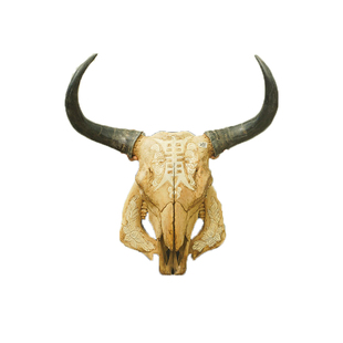 牛头骨装饰工艺品牦牛头骨装饰标本壁挂藏区标本特色壁饰真牛头骨