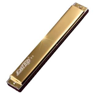 德国进口音簧东方鼎口琴专业演奏级重 复音28孔C ABDEFG#调送礼品