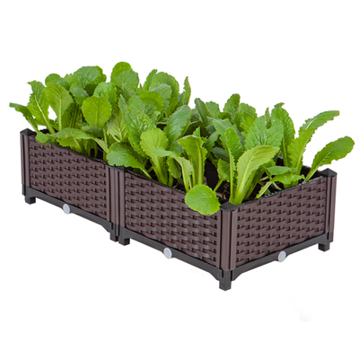 种菜专用箱阳台种菜神器