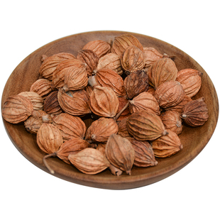 香砂仁50g 沙仁 川砂仁阳春砂仁香料大全 春沙仁 川沙仁烧菜卤料