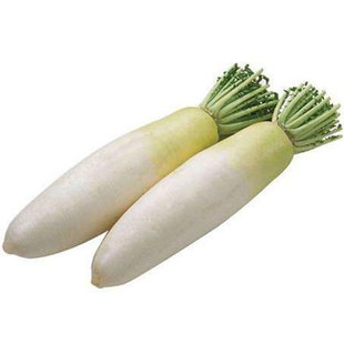 九斤王白萝卜萝卜籽大萝卜水果籽种水萝卜种子种籽大全蔬菜子种孑