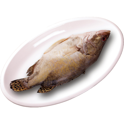 臭鳜鱼黄山臭桂鱼臭鱼徽渔桂批发