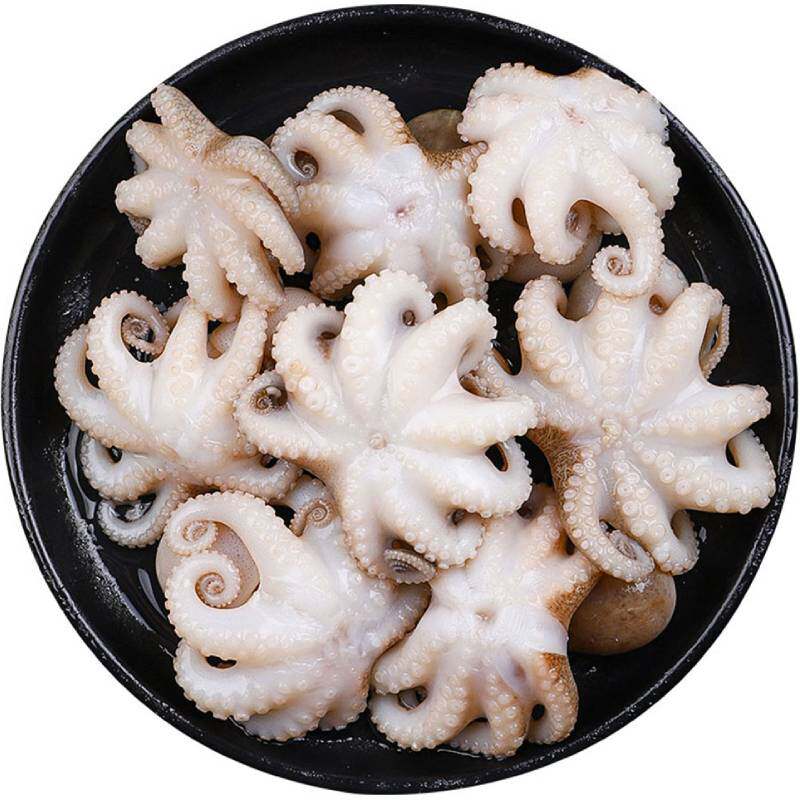 【杰森土笋冻】八爪鱼即食白灼章