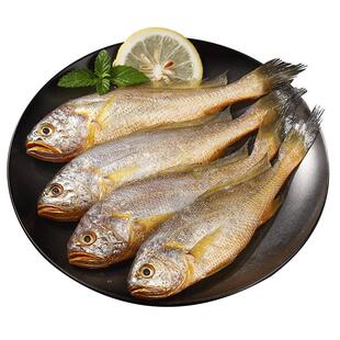 遇上鲜舟山小黄鱼深海捕捞海鱼小黄花鱼生鲜海鲜水产新鲜冷冻烧烤