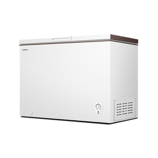 容声冷柜300升一级能效低霜大容量冰柜家用商用冷藏冷冻囤货冰箱