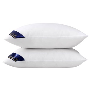 枕头枕芯一对装带枕套五星级酒店护颈椎单人男整头枕家用女宿舍枕