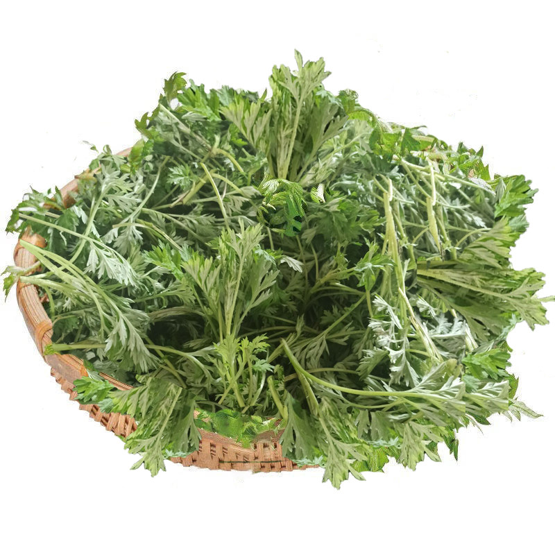 艾草新鲜清明草野菜粑粑青团草嫩艾蒿食用蔬菜蒿子艾叶新鲜艾草叶