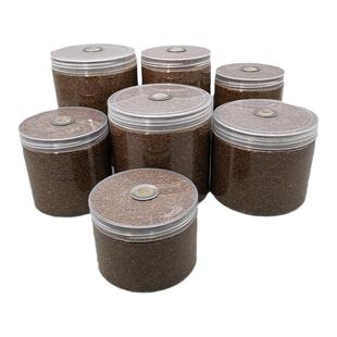 甲虫饲养罐独角仙成虫幼虫饲养盒大兜虫锹甲锹形虫爬宠昆虫饲养盒