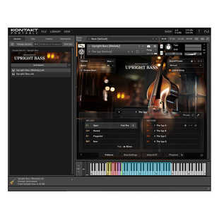 手工立式低音提琴音源NI Session Bassist Upright Bass音色真实