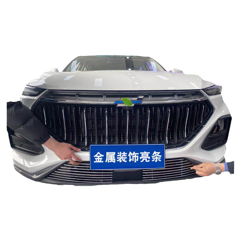 中网前脸改装件欧尚X5亮条防虫网