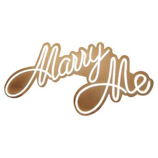 求婚结婚布置霓虹灯led婚礼装饰爱情人节表白发光字母marryme灯牌